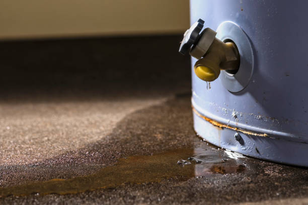 Carpet water damage restoration in Breese, IL