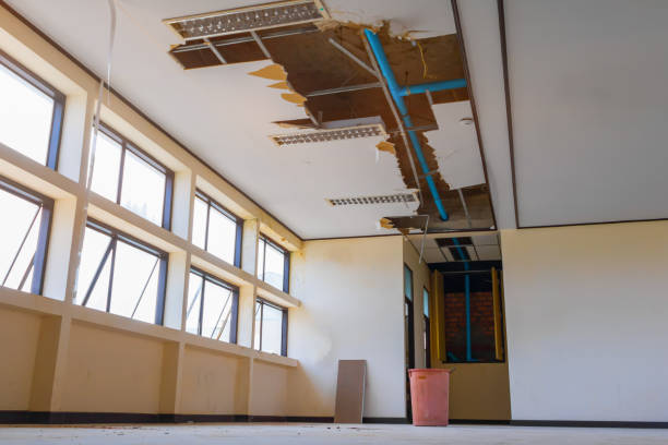 Trusted Breese, IL Water damage restoration Experts