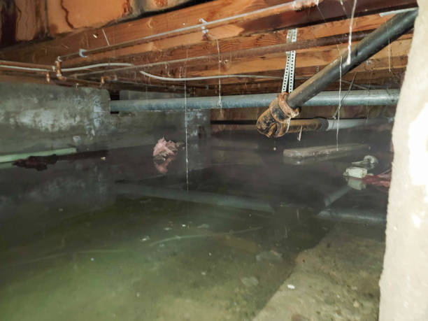 Water damage restoration mold remediation in Breese, IL