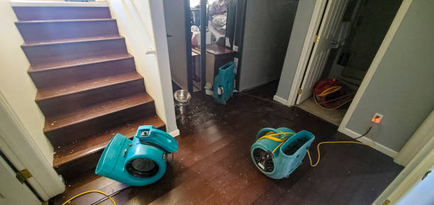 Best Emergency water damage restoration  in Breese, IL