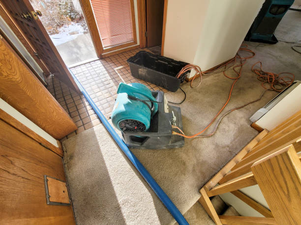 Best Water damage restoration near me  in Breese, IL