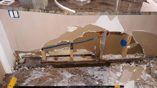 Best Flooded house restoration  in Breese, IL