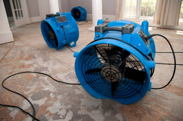 Best 24/7 water damage repair  in Breese, IL