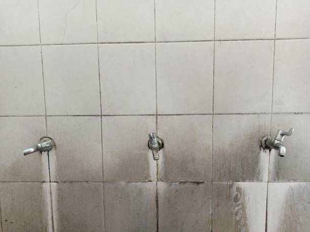 Best Professional water damage repair  in Breese, IL