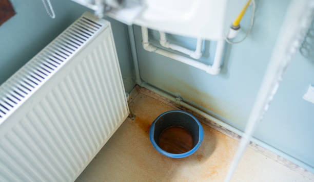 Best Carpet water damage restoration  in Breese, IL