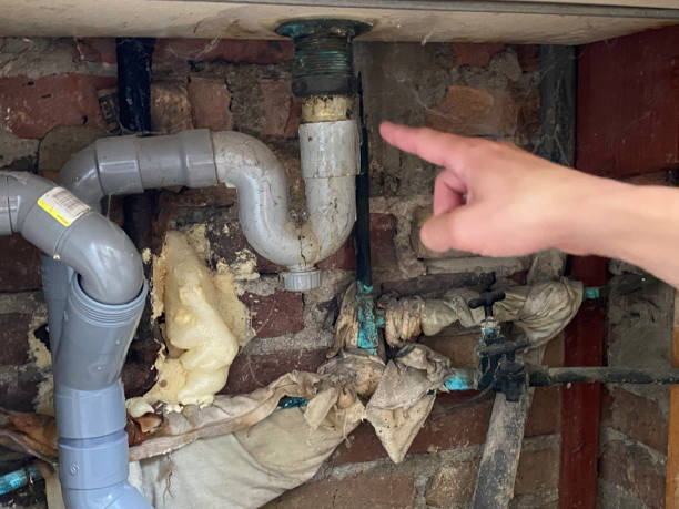 Best Flood restoration services  in Breese, IL