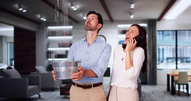 Best 24/7 water damage repair  in Breese, IL