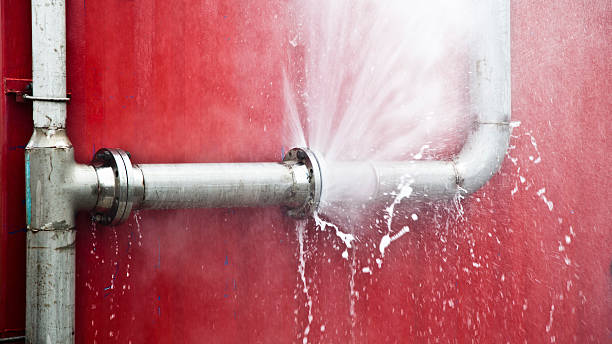 Best Flooded house restoration  in Breese, IL