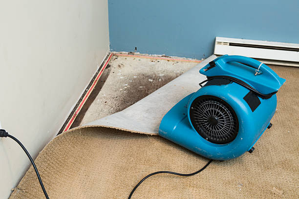 Best Water damage restoration specialists  in Breese, IL